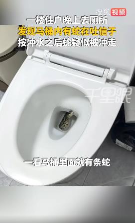 DƬ